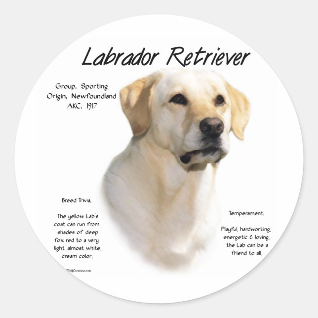 Labrador Retriever (yellow) History Design Classic Round Sticker (Front)