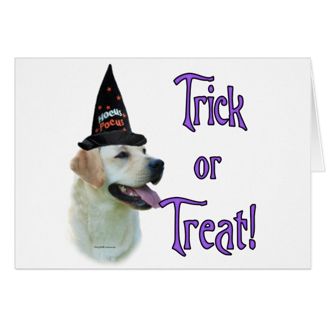 Labrador Retriever (yellow) Trick (Front Horizontal)