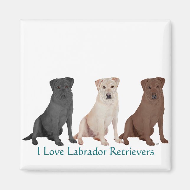 Labrador Retrievers - 3 Colours to Love Magnet (Front)