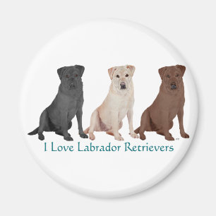 Labrador Retrievers - 3 Colours to Love Magnet