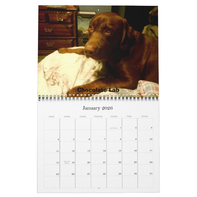 Labrador Retrievers Calendar (Jan 2026)
