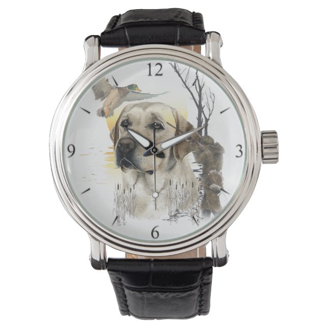 Labrador Retrievers, (Hunting dogs)  Watch (Front)