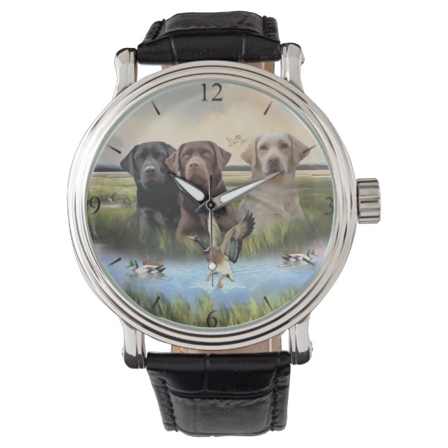 Labrador Retrievers, (Hunting dogs)  Watch (Front)