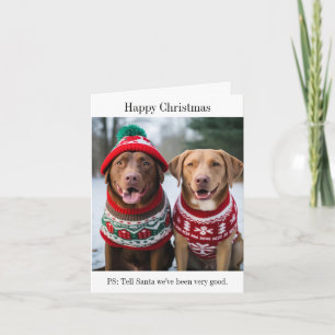 Labrador Retrievers in Christmas Jumpers Card