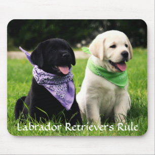 Labrador Retrievers Rule Puppies Mousepad