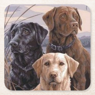 Labrador Retrievers Square Paper Coaster