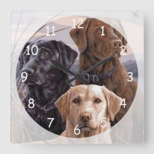 Labrador Retrievers Square Wall Clock