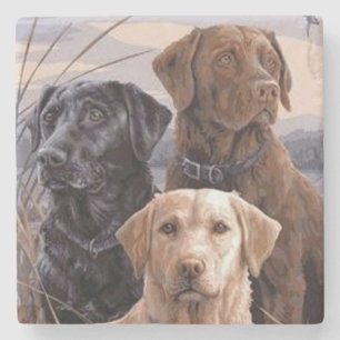 Labrador Retrievers Stone Coaster
