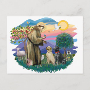 Labrador Retrievers (two) Postcard