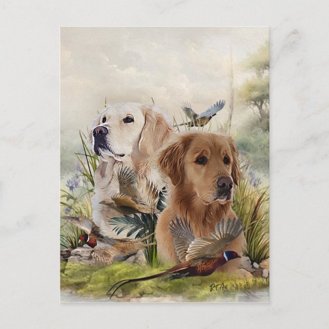 Labrador Retrievers with Pheasant ,Art  Postcard (Front)