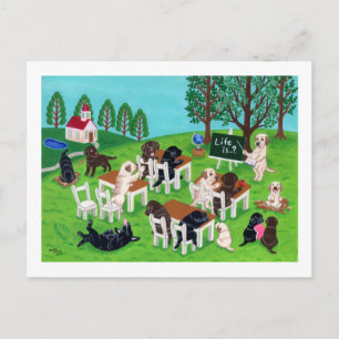 Labrador School Postcard