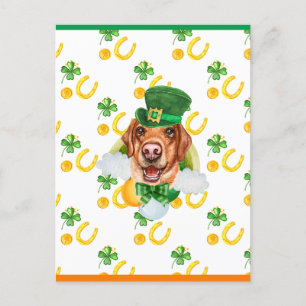 Labrador Shamrock St. Patricks Day Holiday Postcard