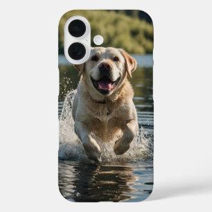 Labrador Splash iPhone 16 Case
