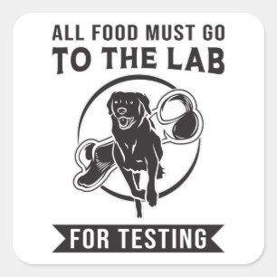 Labrador The Lab For Testing Retriever Dog Funny Square Sticker