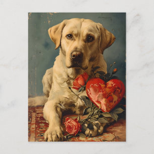 Labrador Vintage Valentine's day  Postcard