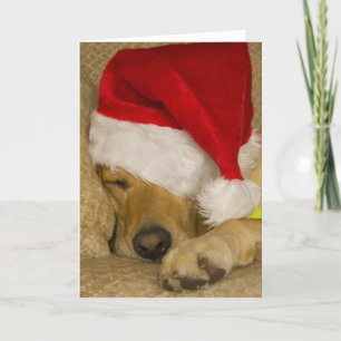 Labrador wearing a red holiday Santa hat