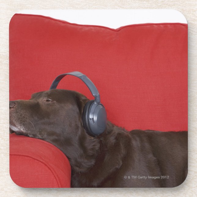 Labrador wearing headphones lying on sofa coaster (Front)