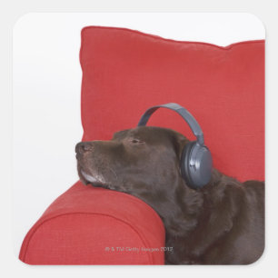 Labrador wearing headphones lying on sofa square sticker