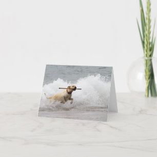 Labrador - Yellow - Go Fetch! Card