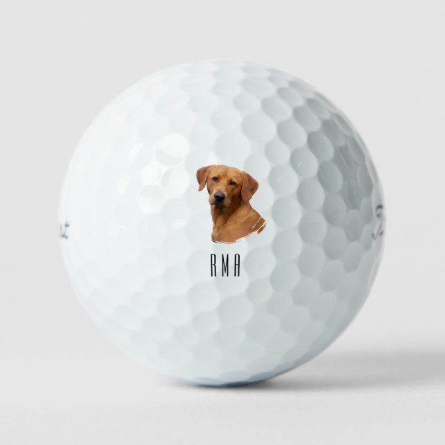 Labrador Yellow Lab Golf Balls (Front)