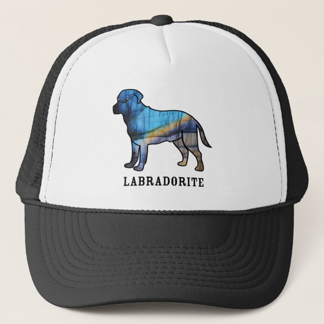 Labradorite Trucker Hat (Front)