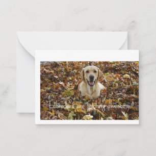 Labradors are Fetching Awesome Card