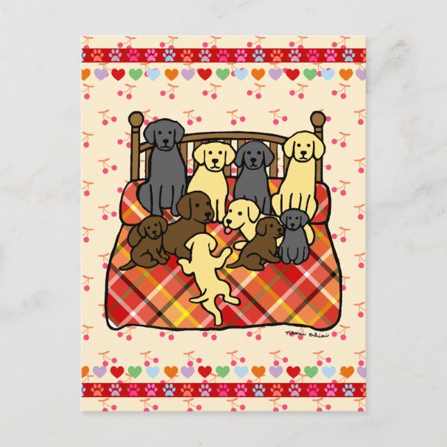 Labradors on the King Size Bed Postcard (Front)