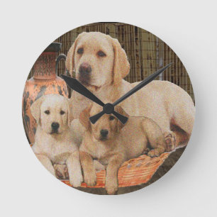Labrardor retriever clock