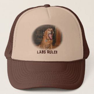 Labs Rule Hat