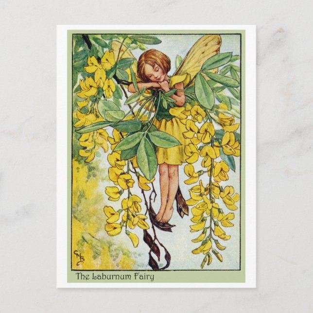 Laburnum Fairy Postcard (Front)