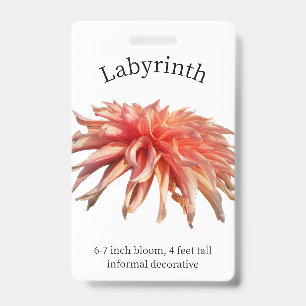 Labyrinth Dahlia ID Badge