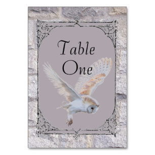 Labyrinth It’s Only Forever Wedding Owl  Table Number