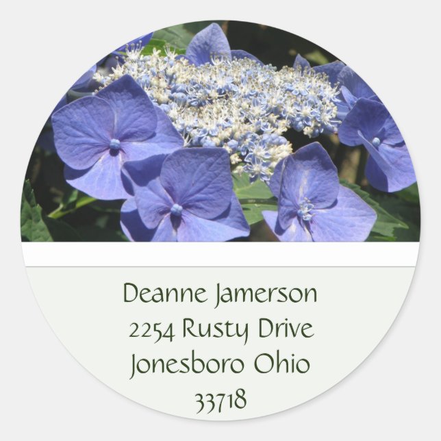 Lace Cap Hydrangea Address Stickers (Front)