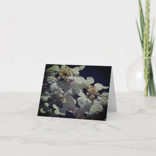 Lace Cap Hydrangea Flowers Note Card