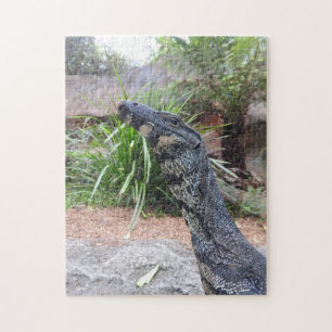 Lace Monitor Puzzle