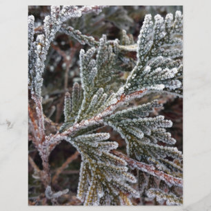 Lace on twigs