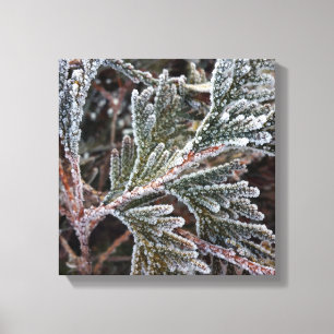 Lace on twigs canvas print