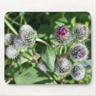 lace over thistle mouse mat
