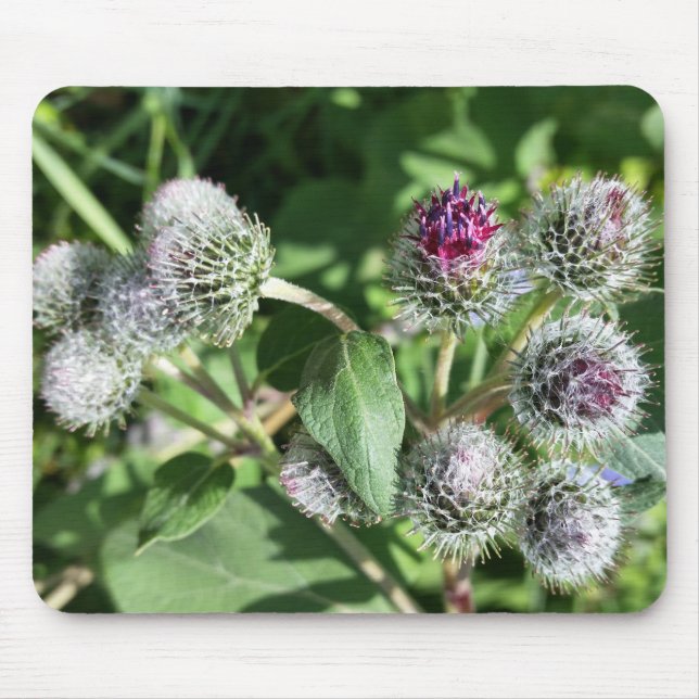 lace over thistle mouse mat (Front)