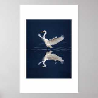 Lace Wings on Blue Poster