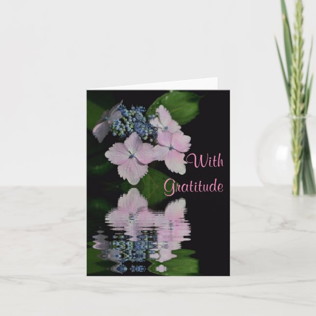 Lacecap Hydrangea Thank You Card (Front)