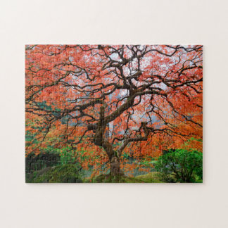 Laceleaf Maple on Foggy Autumn Morning in Portland Jigsaw Puzzle
