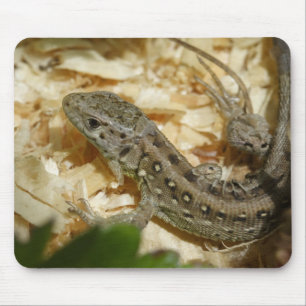 Lacerta agilis mouse mat