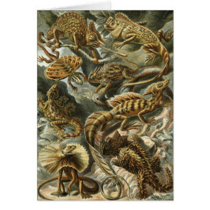 Lacertilia by Ernst Haeckel Vintage Lizard Animals