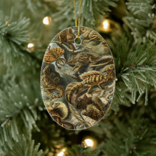 Lacertilia by Ernst Haeckel Vintage Lizard Animals Ceramic Tree Decoration