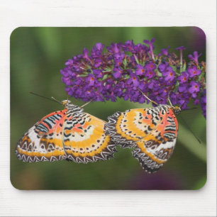 Lacewing Duet Mouse Mat