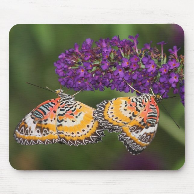 Lacewing Duet Mouse Mat (Front)