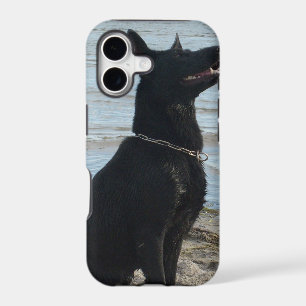 Lacquer Black German Shepherd