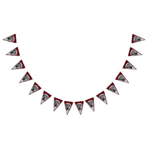 Lacrosse Party Bunting