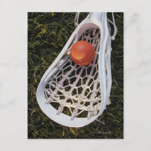 Lacrosse Stick and Ball Postcard